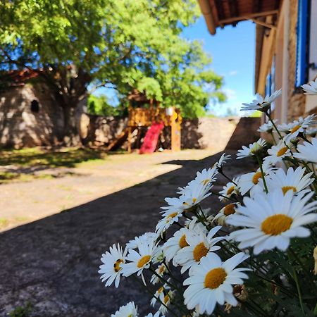 Kuca Dida Jure Villa Pridraga Екстериор снимка